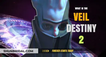 Unveiling the Veil: Understanding Destiny 2's Mysterious Artifact