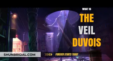 Unveiling the Mystery: Understanding the Veil Duvois and Its Significance