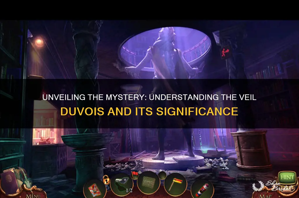 what is the veil duvois