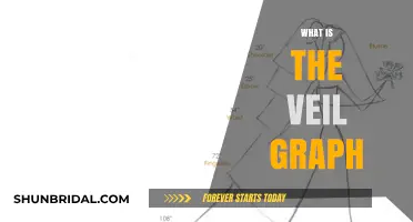 Understanding the Veil Graph: A Comprehensive Guide to Its Functionality