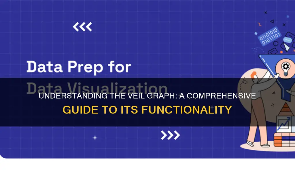 what is the veil graph