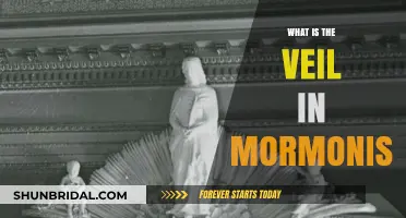 Understanding the Mormon Veil: Symbolism, Temple Practices, and Significance
