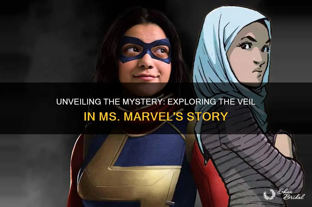 what is the veil in ms marvel
