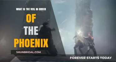 Unveiling the Mystery: The Veil's Role in Order of the Phoenix