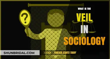 Unveiling the Concept: Understanding the Veil's Role in Sociology
