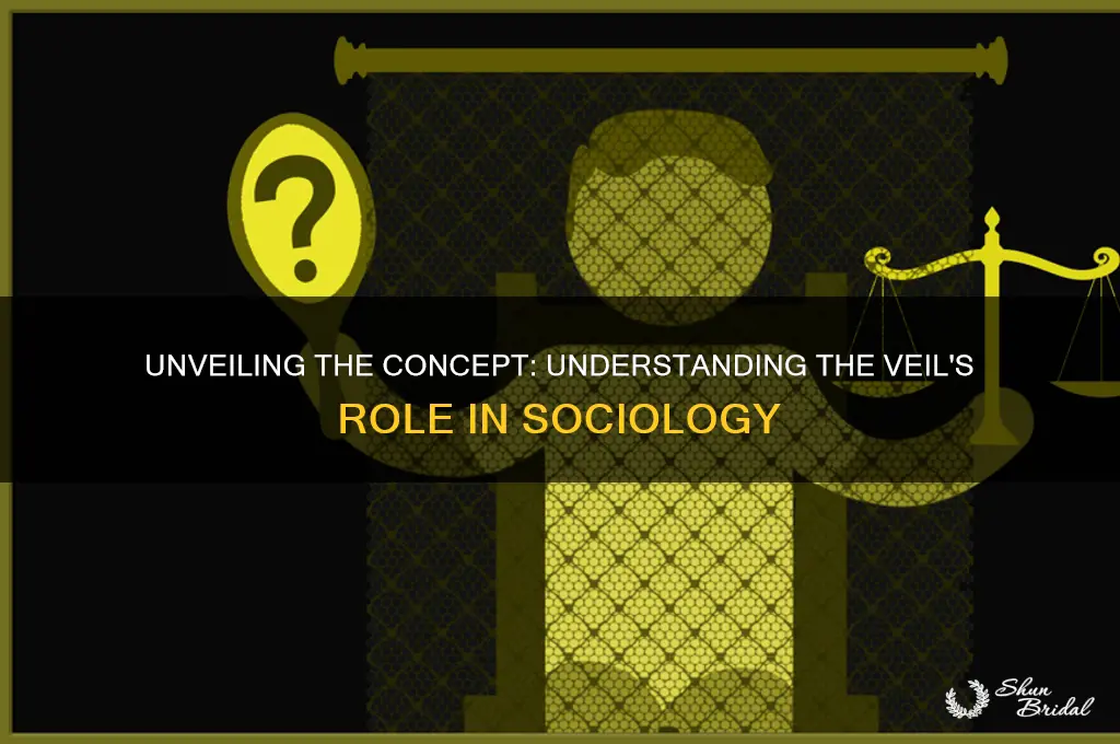what is the veil in sociology