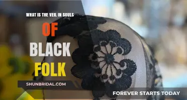 Understanding the Veil: A Symbol in Souls of Black Folk