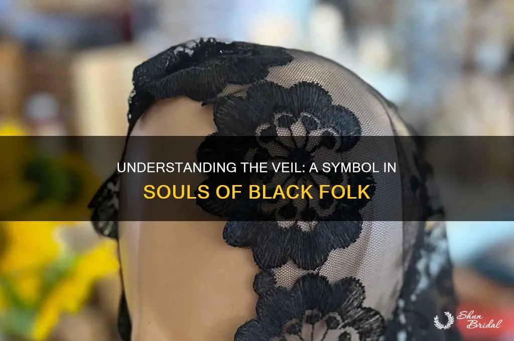 what is the veil in souls of black folk