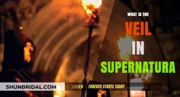 Unveiling the Mystery: Understanding the Veil in Supernatural Lore