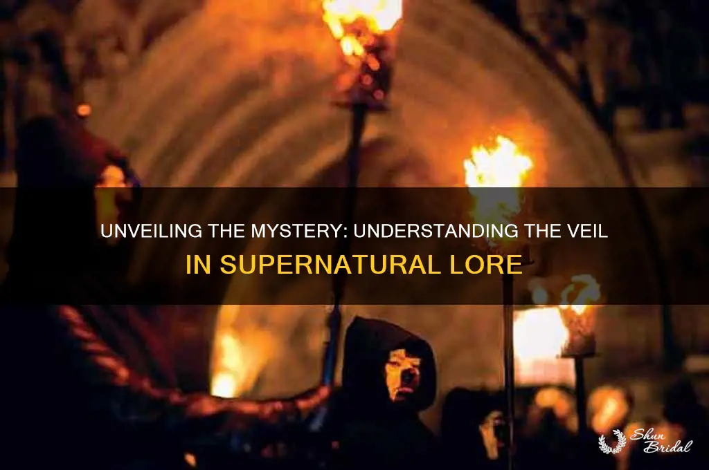 what is the veil in supernatural