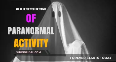 Unveiling the Veil: Understanding Its Role in Paranormal Phenomena