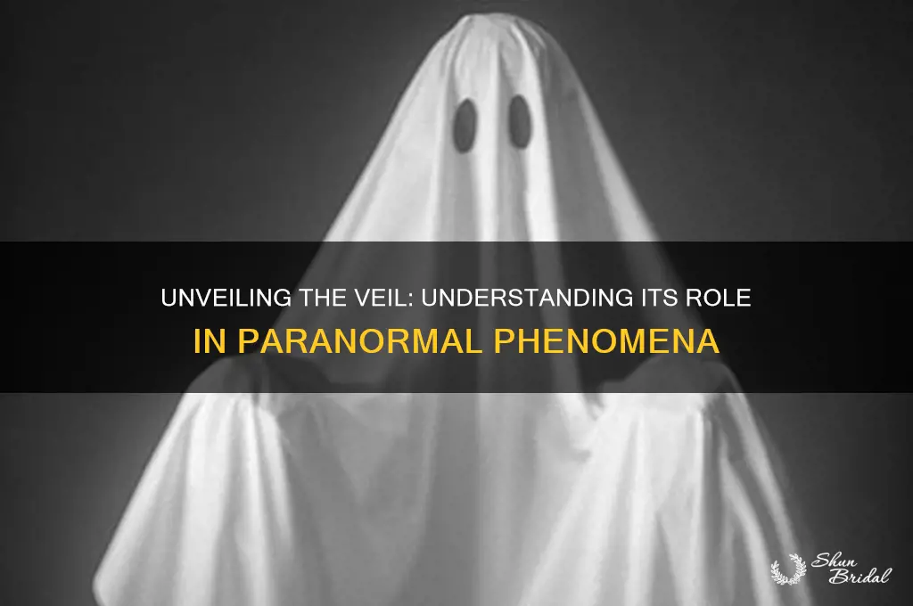 what is the veil in terms of paranormal activity