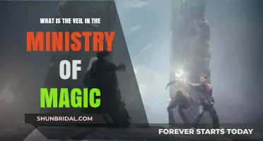 Unveiling the Mystery: The Veil in the Ministry of Magic Explained