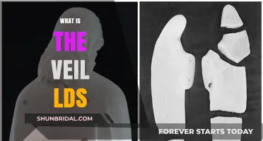 Understanding the LDS Veil: Symbolism, Significance, and Temple Practices