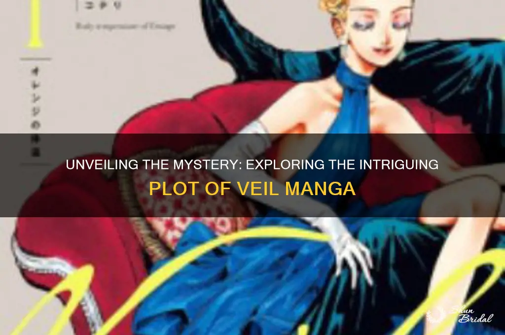what is the veil manga about
