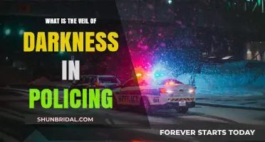 Unveiling the Veil of Darkness: Understanding Racial Bias in Policing