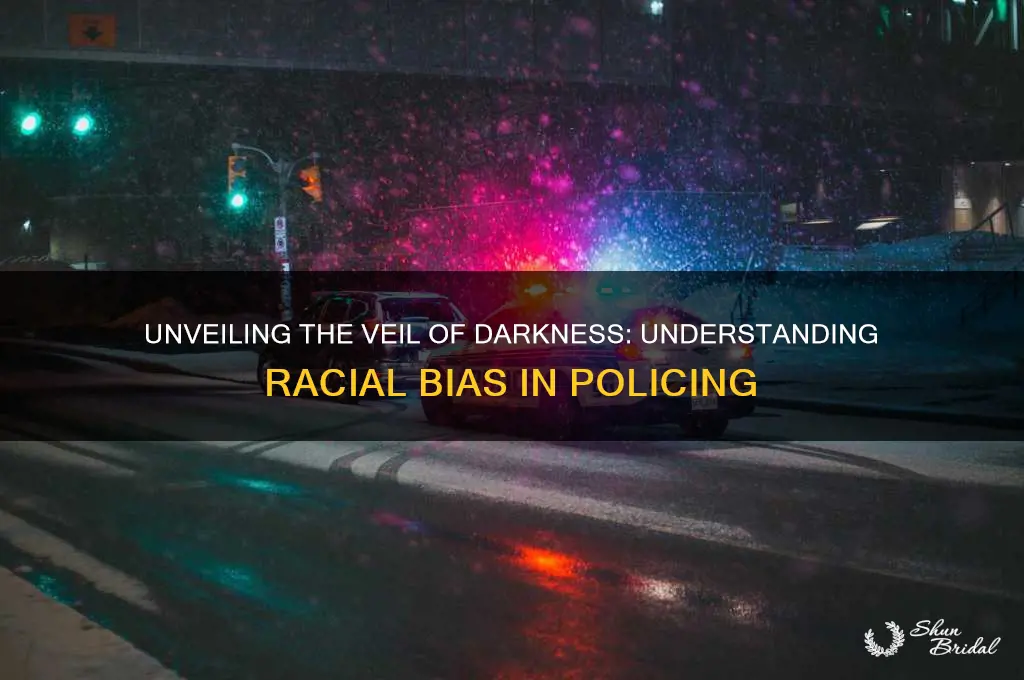 what is the veil of darkness in policing