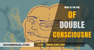 Unveiling Double Consciousness: Understanding W.E.B. Du Bois' Concept and Impact