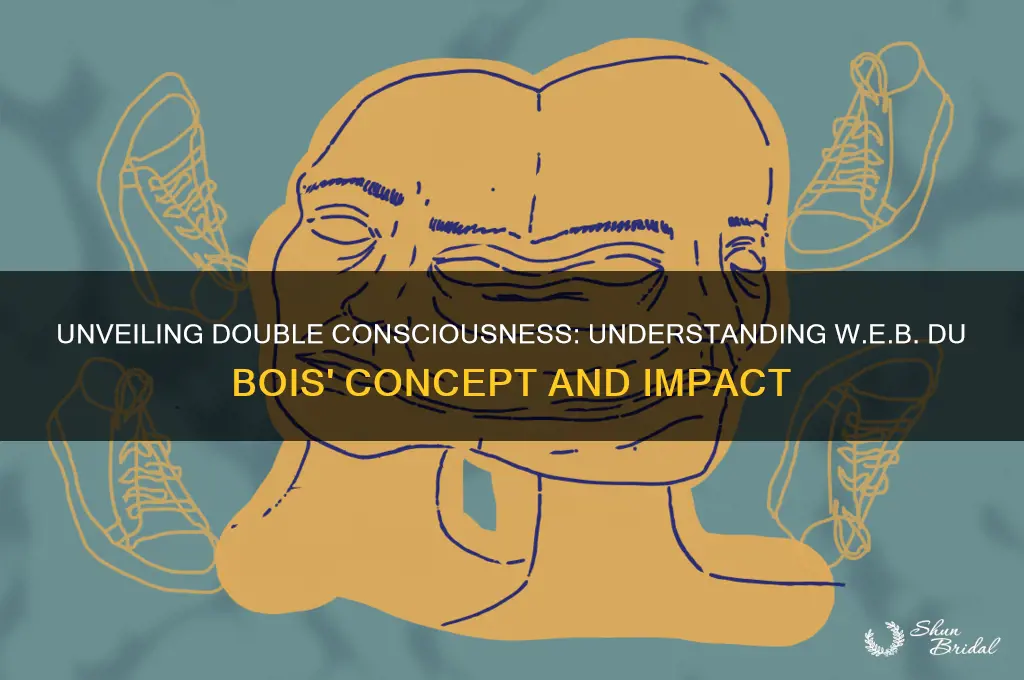 what is the veil of double consciousness