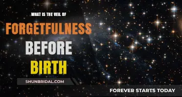 Unveiling the Mystery: Understanding the Veil of Forgetfulness Before Birth