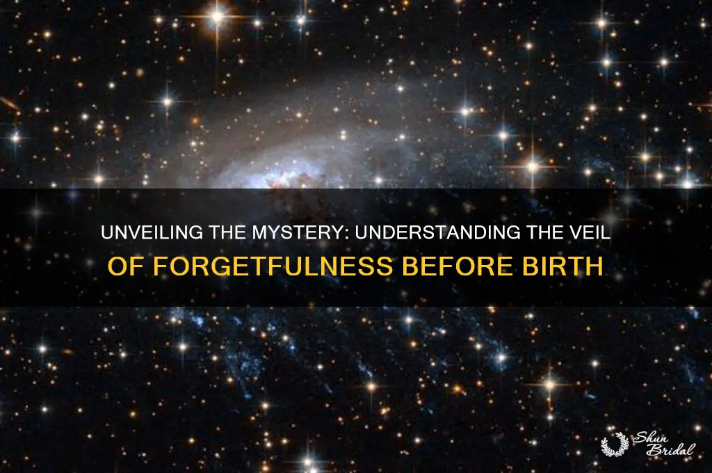 what is the veil of forgetfulness before birth