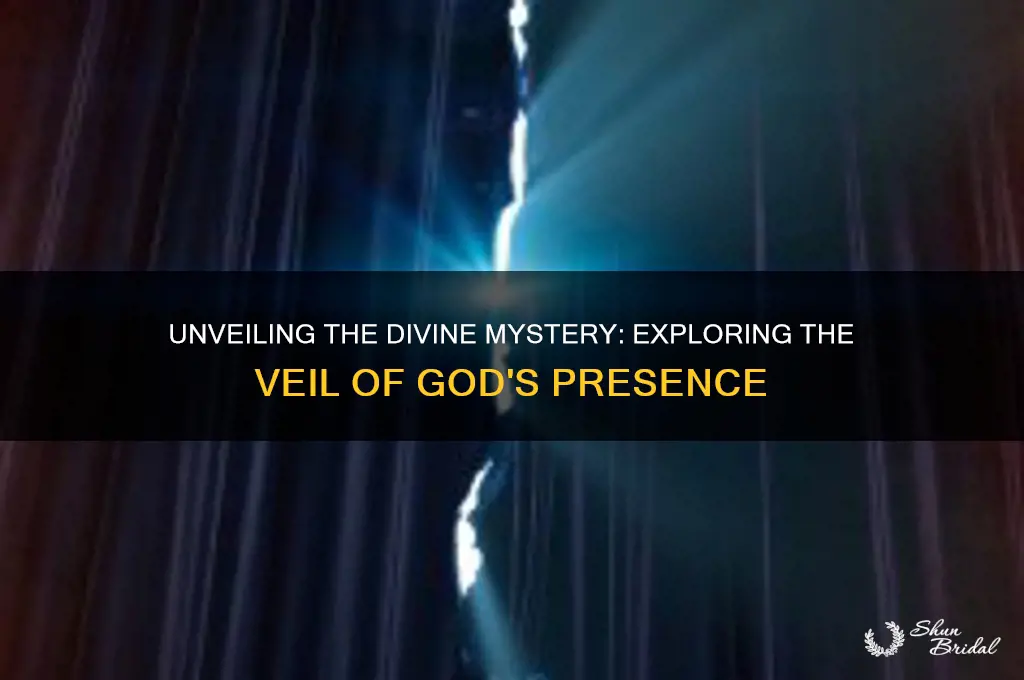 what is the veil of god