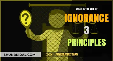 Understanding the Veil of Ignorance: Core Principles Explained