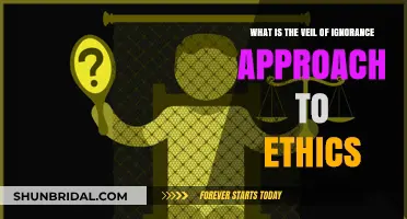 Understanding the Veil of Ignorance: A Fair Ethical Decision-Making Tool