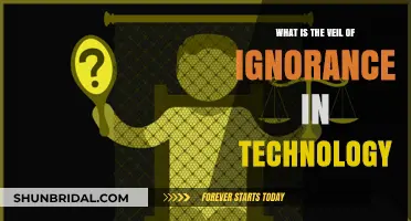 Understanding the Veil of Ignorance in Tech Ethics and Design