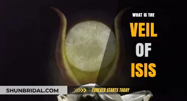 Unveiling the Mystery: Exploring the Ancient Symbolism of Isis' Veil