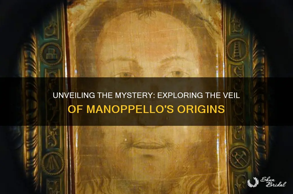 what is the veil of manoppello