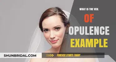 Unveiling Opulence: Decoding the Veil of Excess in Modern Society