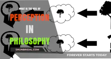 Unveiling the Veil of Perception: A Philosophical Exploration