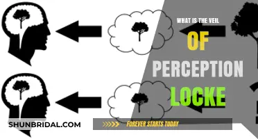 Unlocking Locke's Veil of Perception: Understanding Reality's Filter