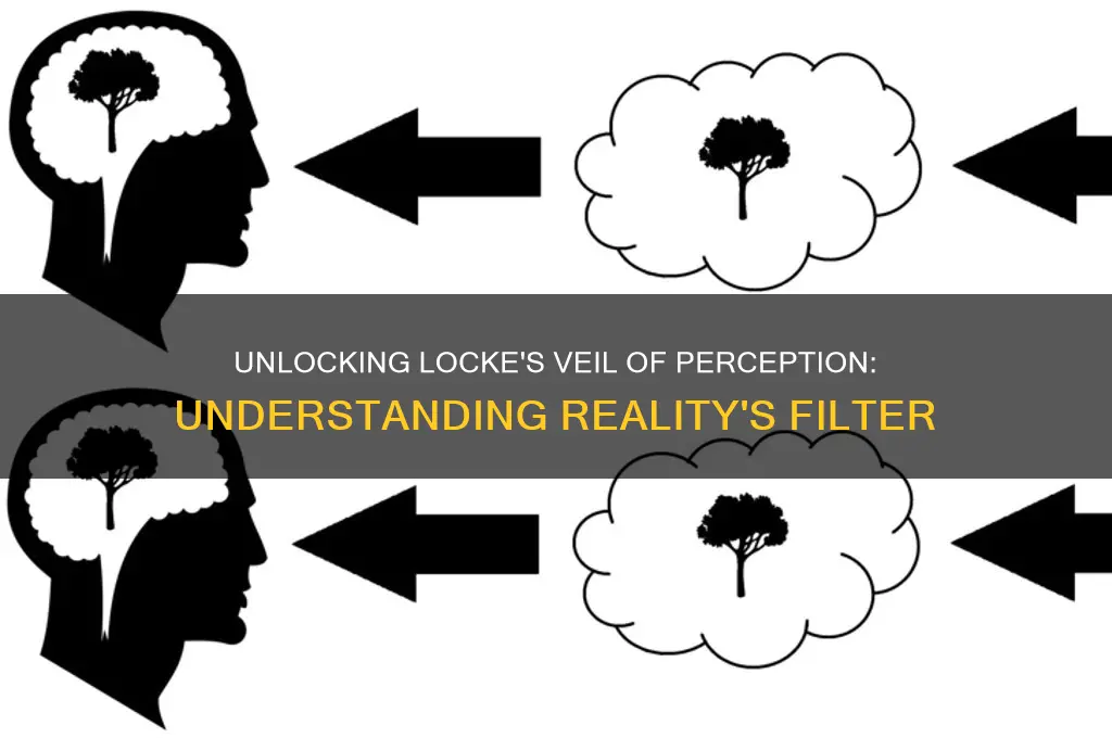 what is the veil of perception locke