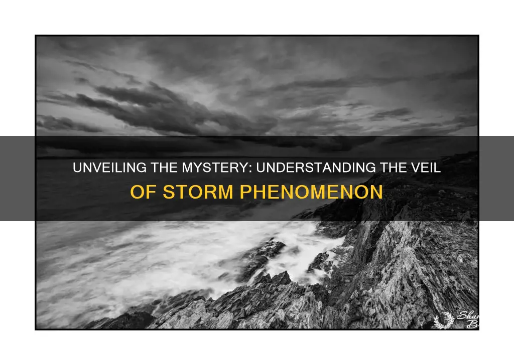 what is the veil of storm
