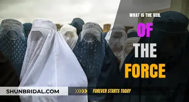 Unveiling the Mystery: Understanding the Veil of the Force