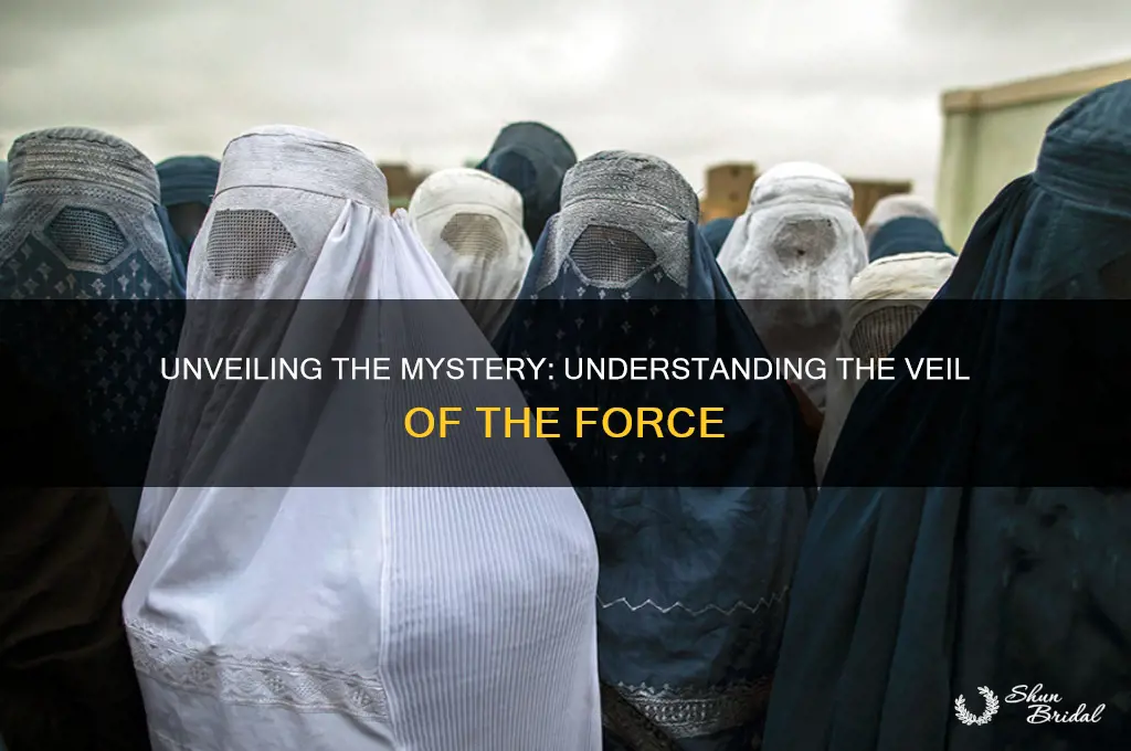 what is the veil of the force