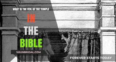 Understanding the Biblical Veil of the Temple: Symbolism and Significance