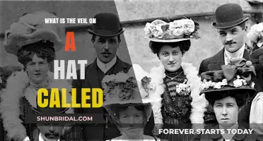 Unveiling the Mystery: What's the Veil on a Hat Called?