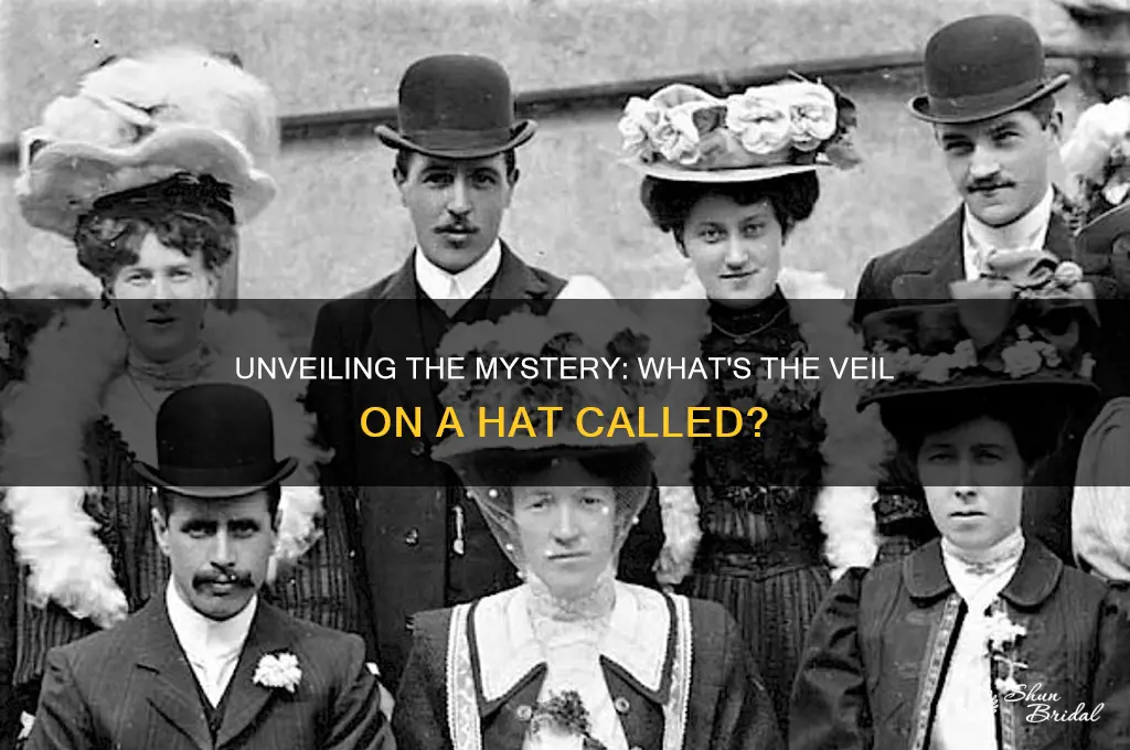 what is the veil on a hat called