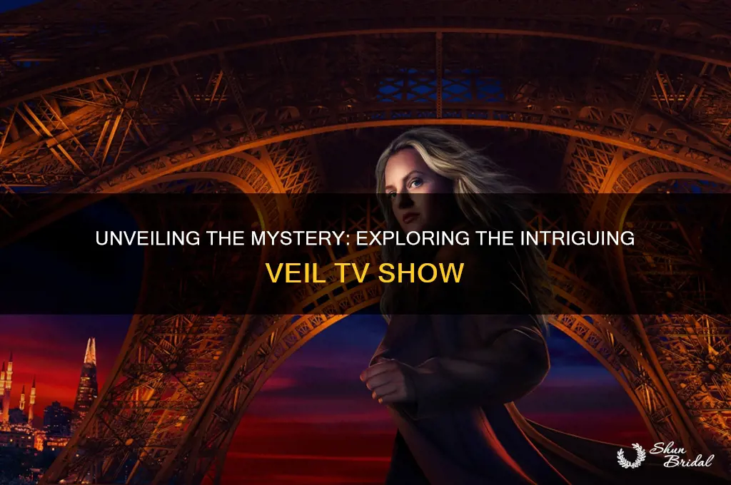 what is the veil tv show