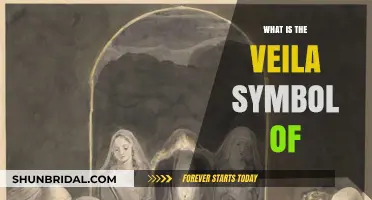 Understanding the Veila Symbol: Meaning, Origins, and Cultural Significance