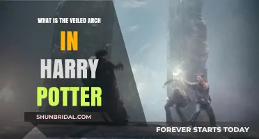 Unveiling the Mystery: The Veiled Arch in Harry Potter Explained
