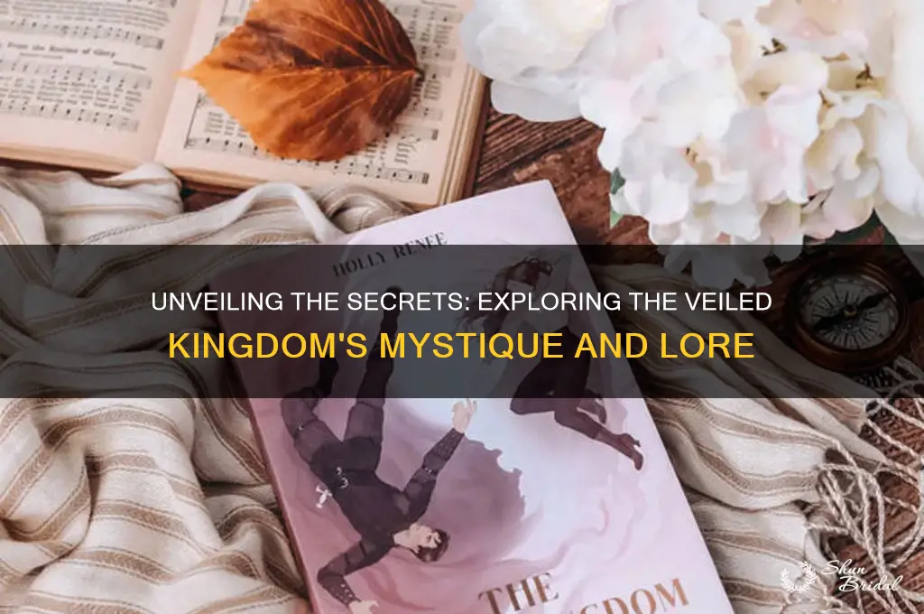 what is the veiled kingdom about
