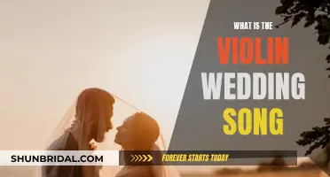 Violin Wedding Song: Traditional Melody for the Ceremony