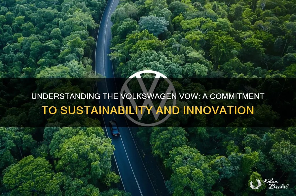 what is the volkswagen vow