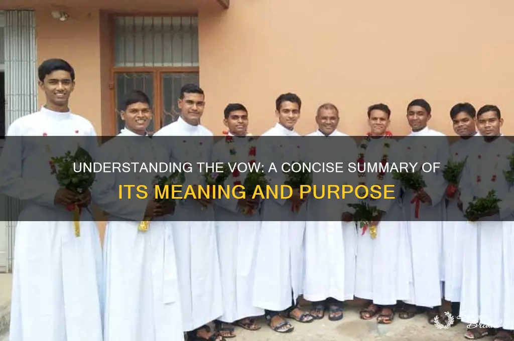 what is the vow about summary