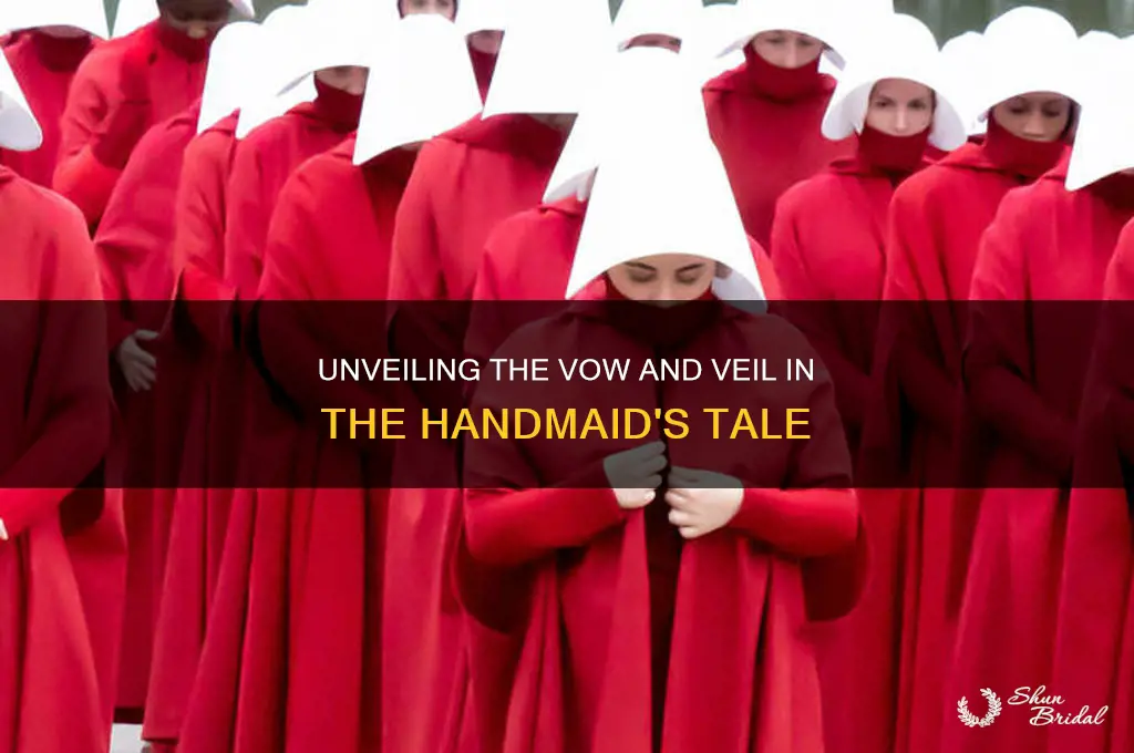 what is the vow and veil in handmains tale