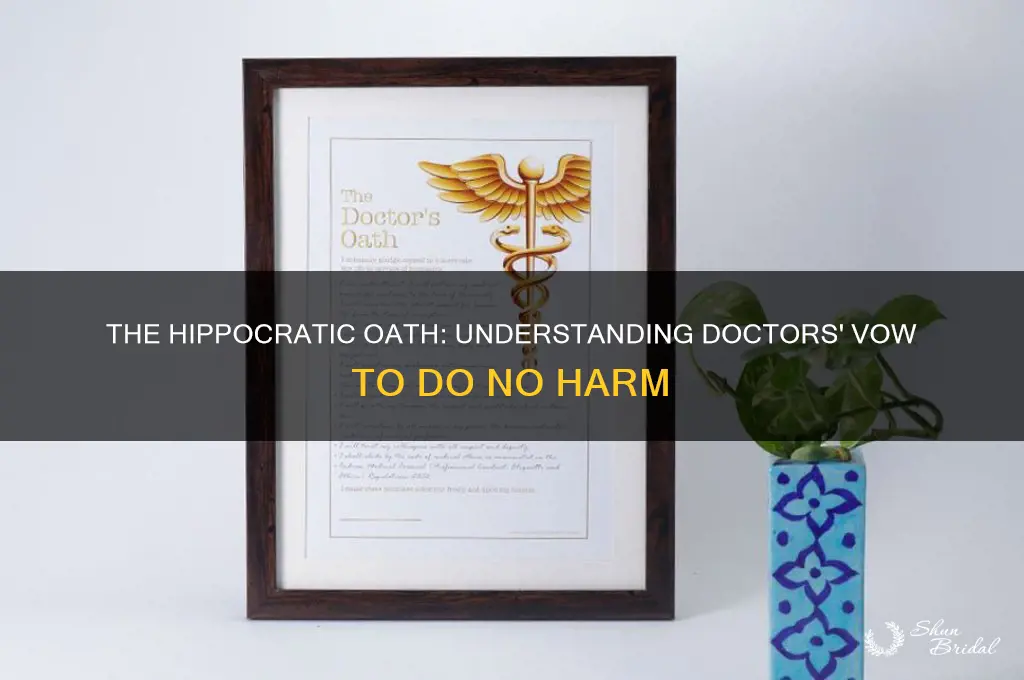 what is the vow doctors take to do no harm